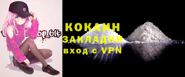 молекула духа Покачи