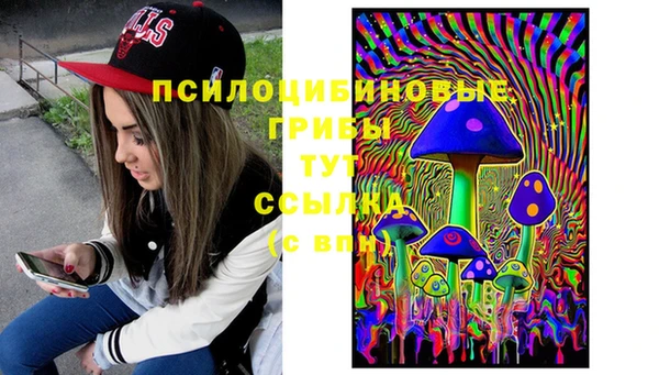 молекула духа Покачи